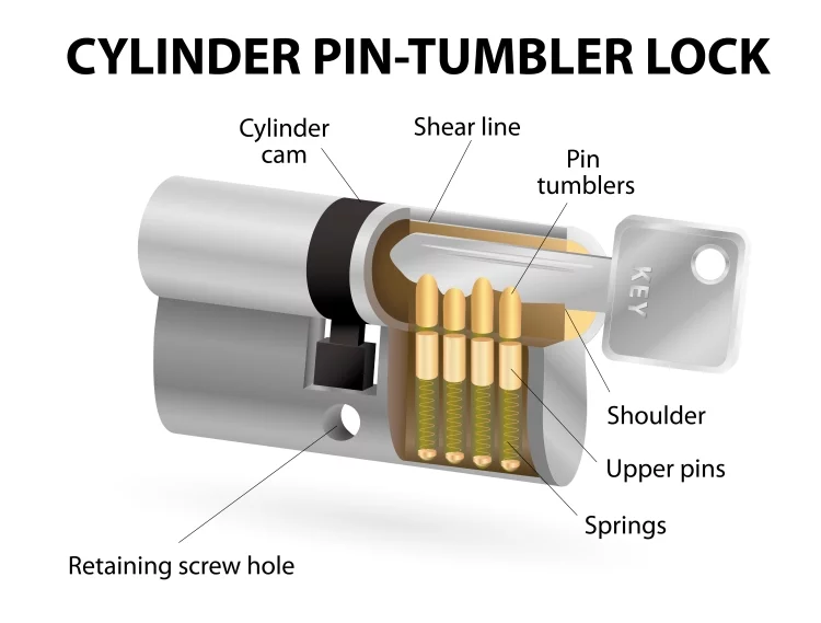 Infographic Cylinder Pin Tumbler Lock