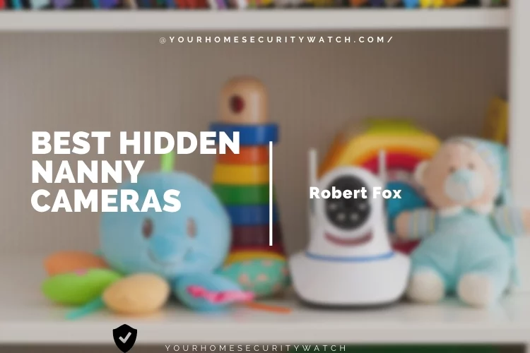 Top 5 Best Hidden Nanny Cams in 2023