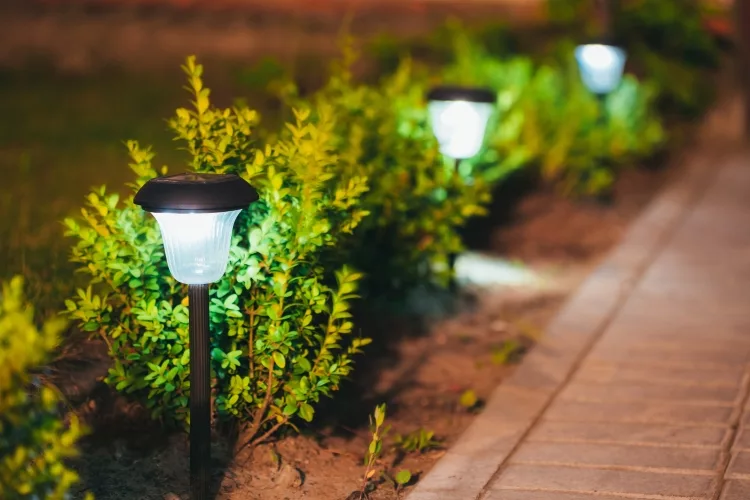 Best Outdoor Solar Light: Reviews, Buying Guide, and FAQs 2022
