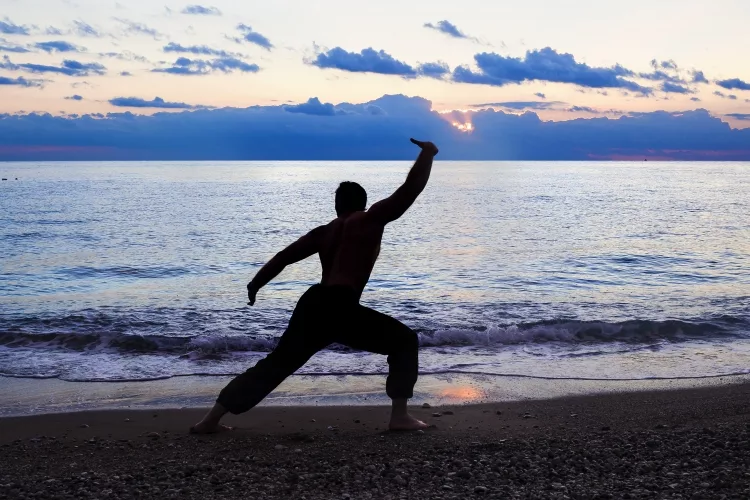 What is Wing Chun (Ving Tsun) Kung Fu?