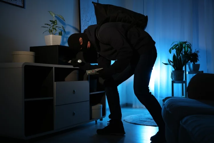 Burglars Tend To Avoid Homes With Security Systems