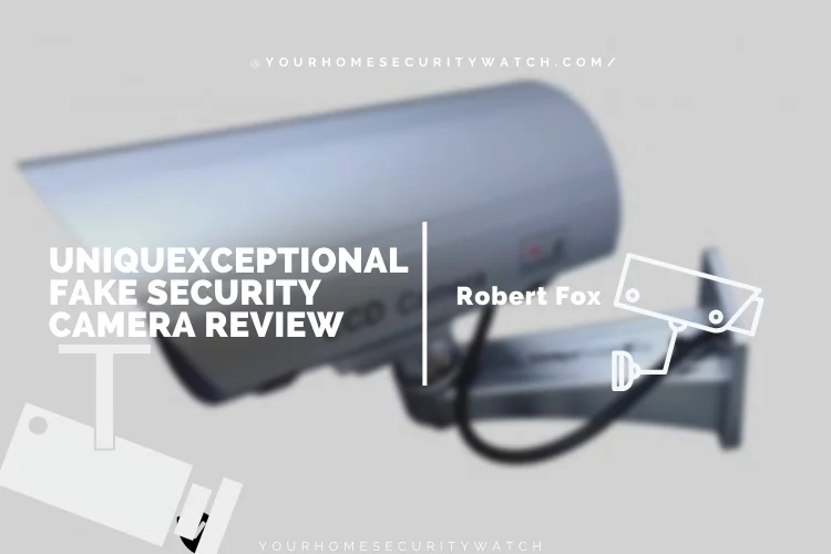 Uniquexceptional Fake Security Camera Review