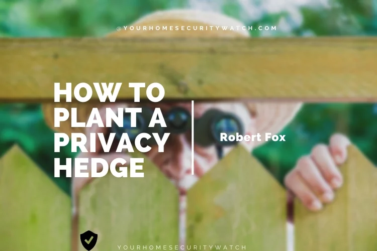 How to Plant a Privacy Hedge