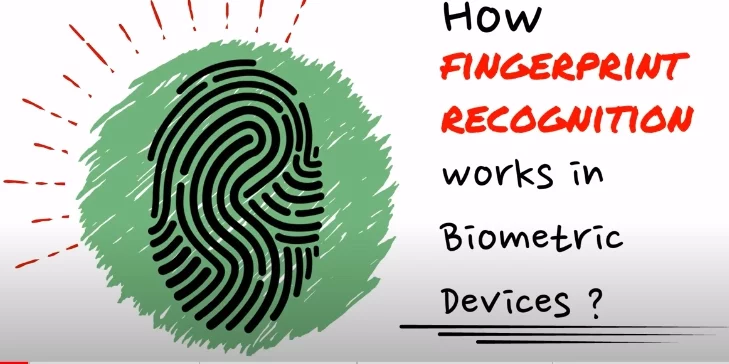 How Fingerprint Recognition Works