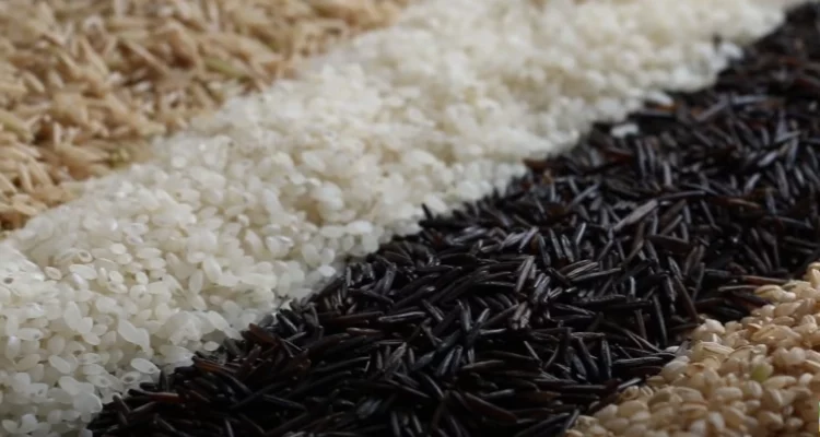 Dried Rice