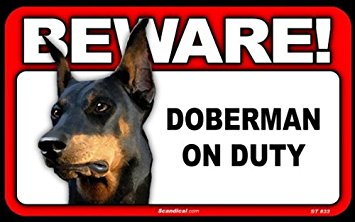 Training a Doberman to Be a Watch Dog