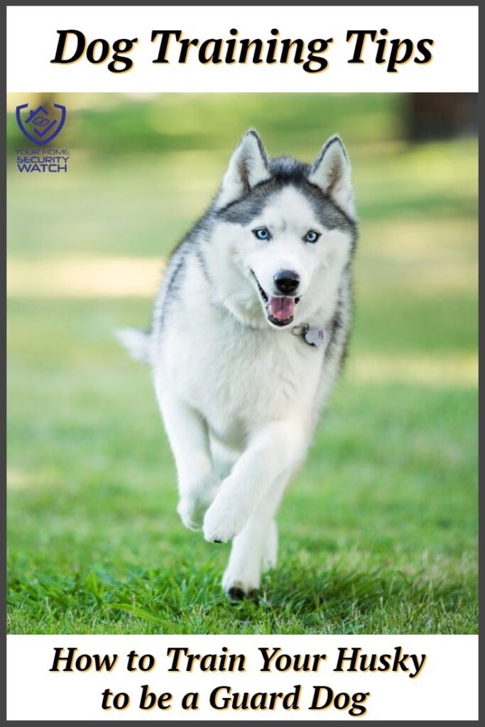 trainingyourhuskytobeaguarddog Your Home & Business Security