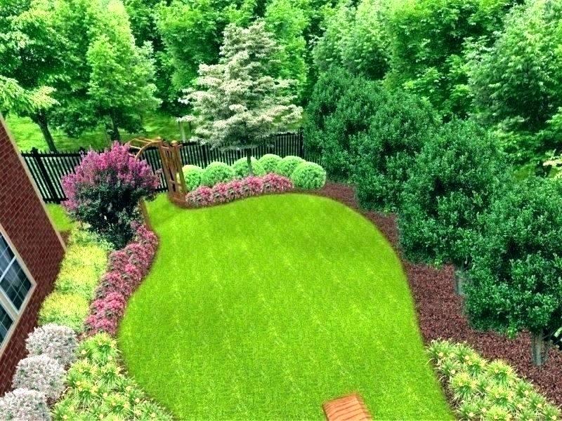 How to Plant a Privacy Tree Fence