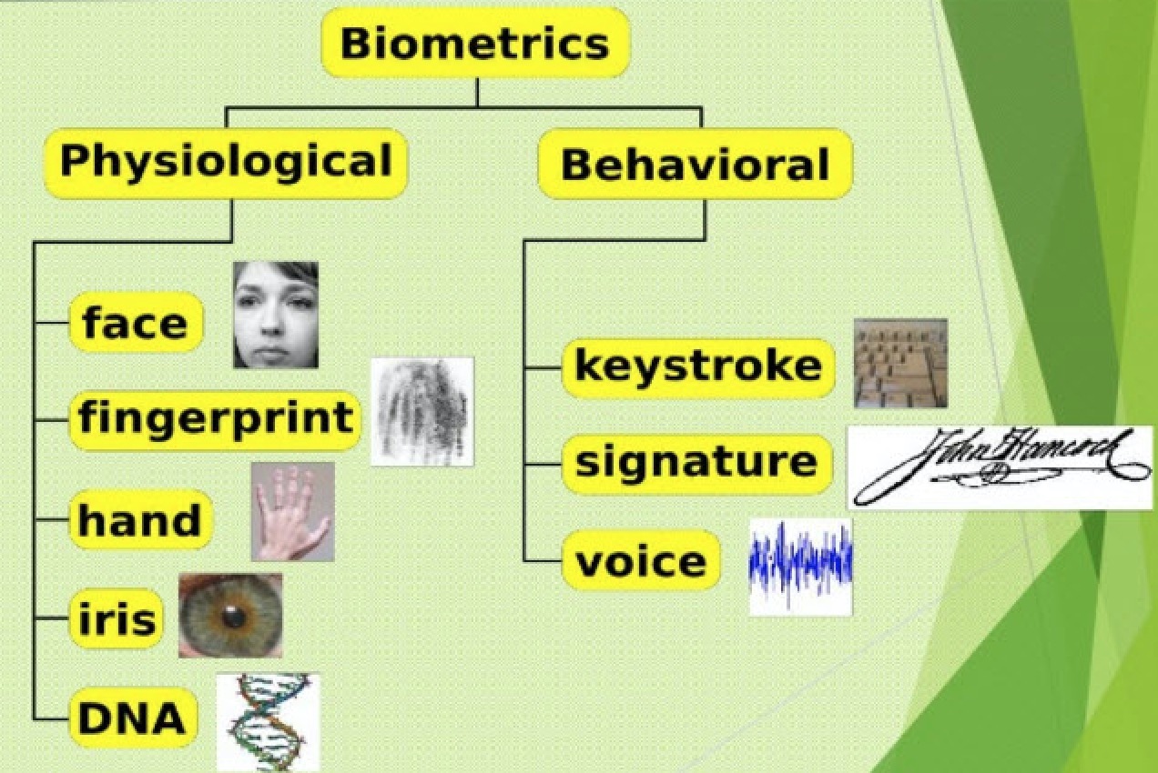 biometrics-behavioral-vs-physiological-your-home-business-security